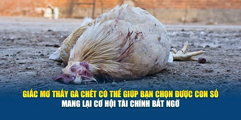 Mơ Thấy Gà Chết Báo Hiệu Điều Gì? Điềm Lành Hay Dữ 6 Giấc mơ thấy gà chết có thể giúp bạn chọn được con số mang lại cơ hội tài chính bất ngờ