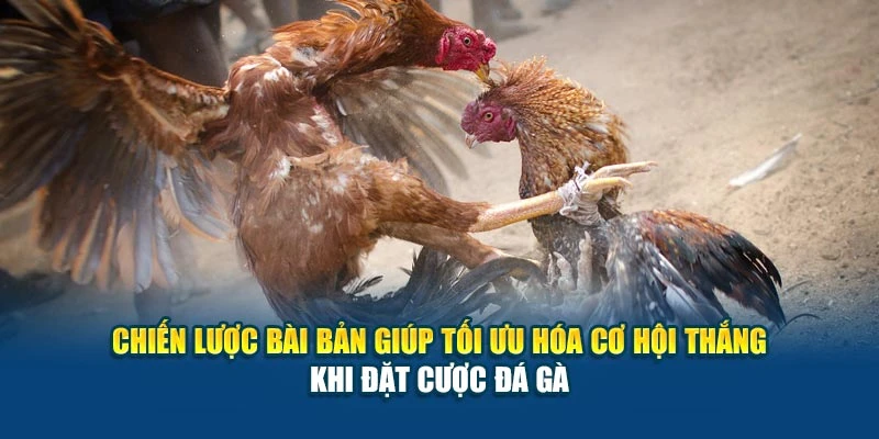 Cách Đặt Cược Đá Gà Hiệu Quả - Trúng Cực Lớn Mỗi Ngày 6 Chiến lược bài bản giúp tối ưu hóa cơ hội thắng khi đặt cược đá gà